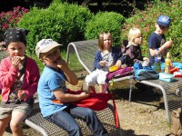 Reddelicher im Tierpark Wismar 2014